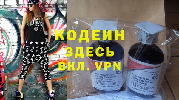 дживик Краснослободск