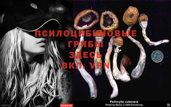 спиды Краснотурьинск