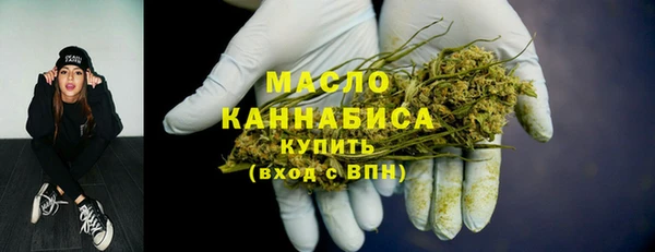 дживик Краснослободск