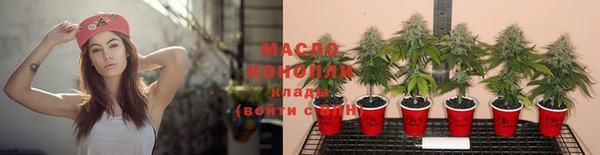 дживик Краснослободск