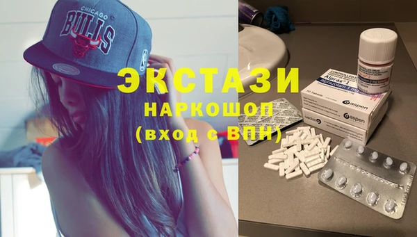 дживик Краснослободск