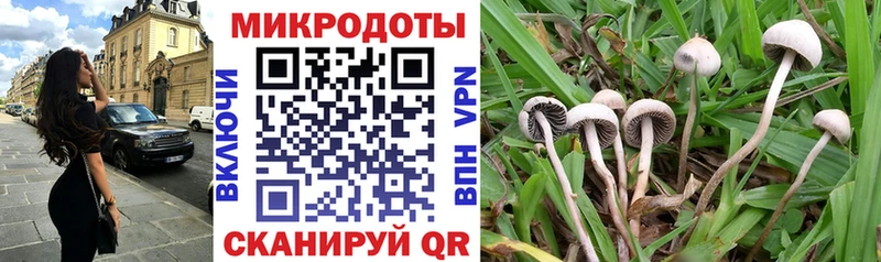 Псилоцибиновые грибы Psilocybine cubensis  Купить где  Оха 